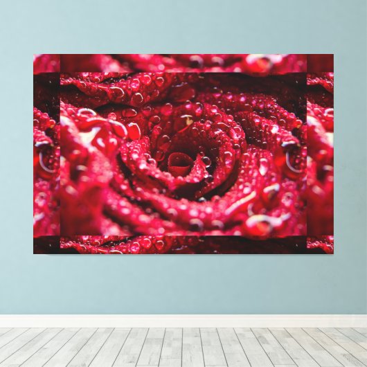 Rote Rose oben mit Wassertropfen Premium verpackt Leinwanddruck (Insitu (Holzboden))