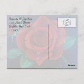 Rote Rose Ölgemälde Rose Vielen Dank Postkarte (Rückseite)