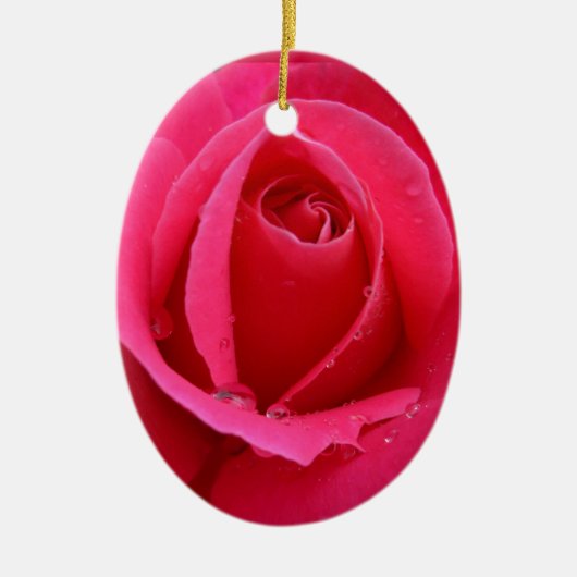 Rote Rose Ornament Romantische Rose (Vorne)