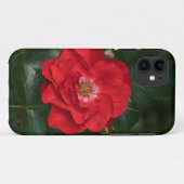 Rote Rose P 6568 Case-Mate iPhone Hülle (Rückseite (Horizontal))
