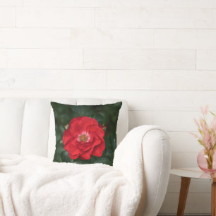 Rote Rose P 6568 Kissen