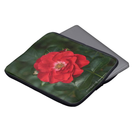Rote Rose P 6568 Laptopschutzhülle (Vorne Oben)
