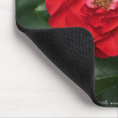 Rote Rose P 6568 Mousepad (Ecke)