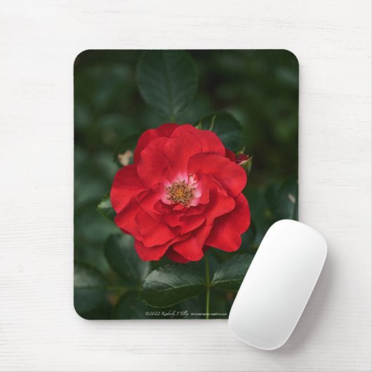 Rote Rose P 6568 Mousepad (Mit Mouse)