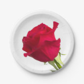 Rote Rose Pappteller (Vorderseite)