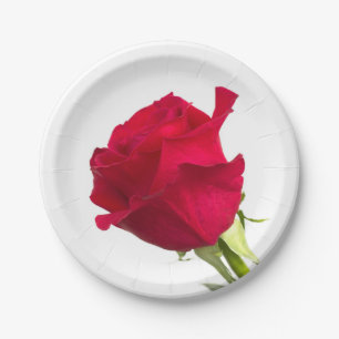 Rote Rose Pappteller
