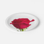 Rote Rose Pappteller (Schrägansicht)
