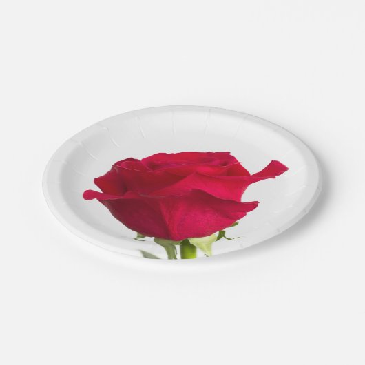 Rote Rose Pappteller (Schrägansicht)