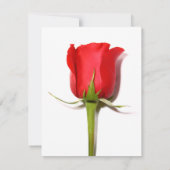 Rote Rose Party Einladung (Rückseite)