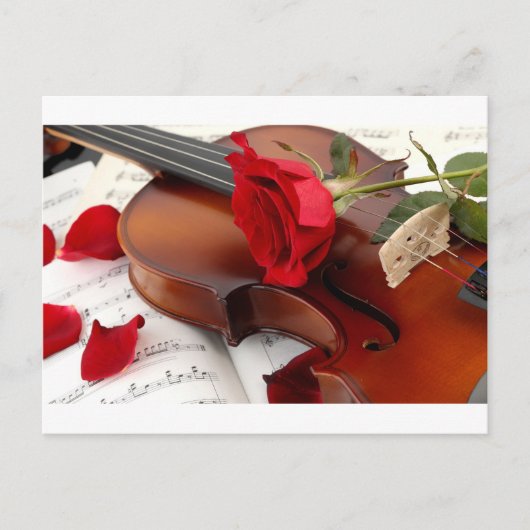 rote Rose Petals Romantische Violinmusik Postkarte (Vorderseite)
