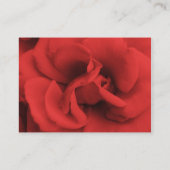 Rote Rose Petals Wedding Registry Cards Begleitkarte (Rückseite)