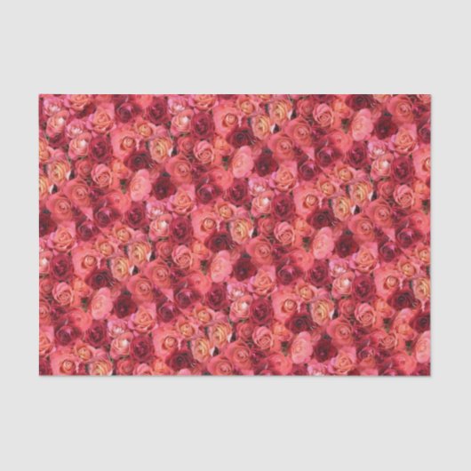 Rote Rose PINK Seidenpapier (Vorderseite)