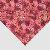 Rote Rose PINK Seidenpapier (Ausschnitt)