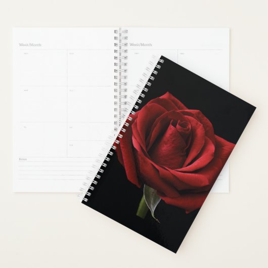Rote Rose Planer (Anzeige)