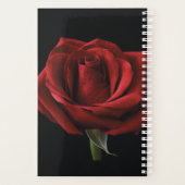 Rote Rose Planer (Rückseite)