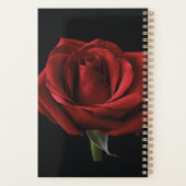 Rote Rose Planer (Rückseite)