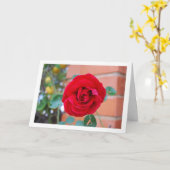 Rote Rose Portrait Karte (Gelbe Blume)