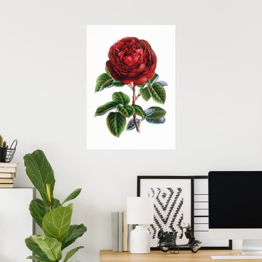 Rote Rose Poster (Heimbüro)