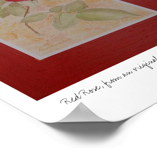 Rote Rose Poster (Ecke)