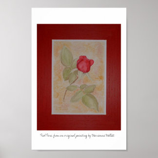 Rote Rose Poster
