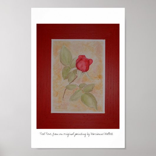 Rote Rose Poster (Vorne)