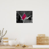 Rote Rose Poster (Küche)