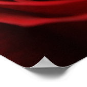 Rote Rose Poster (Ecke)