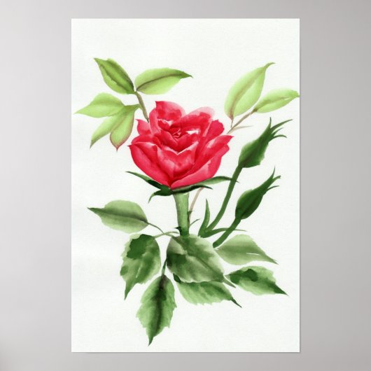 Rote Rose Poster (Vorne)