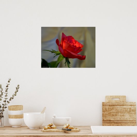 Rote Rose Poster (Küche)