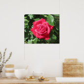 Rote Rose Poster (Küche)