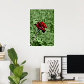 Rote Rose Poster (Heimbüro)