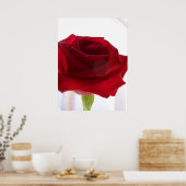 Rote Rose Poster (Küche)