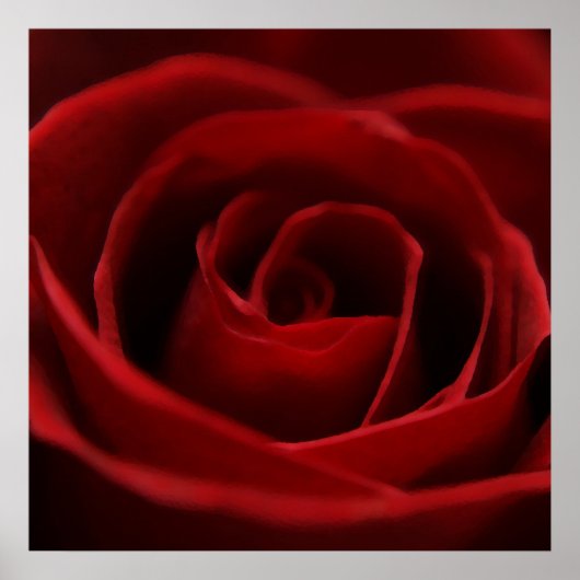 Rote Rose Poster (Vorne)