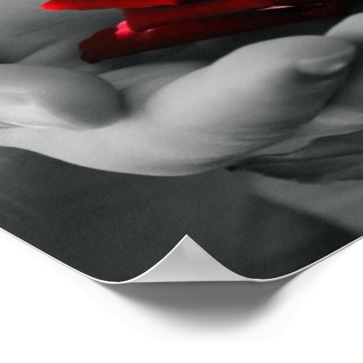 Rote Rose-Poster Poster (Ecke)