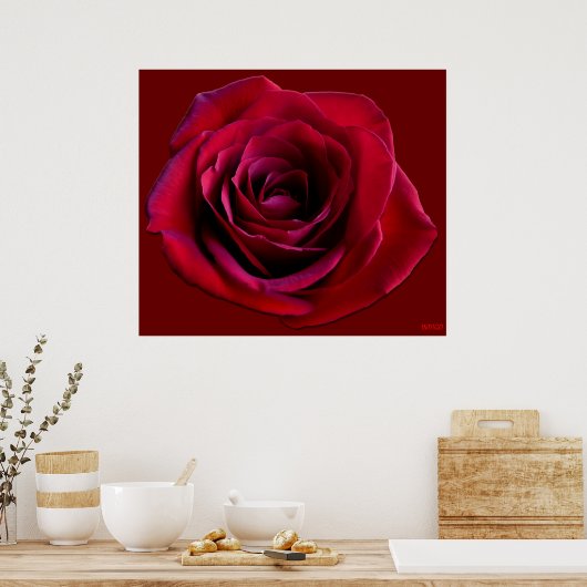 Rote Rose Poster Print Beautiful Blume Printing (Küche)