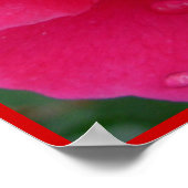 Rote Rose Poster Print Beautiful Blume Printing (Ecke)