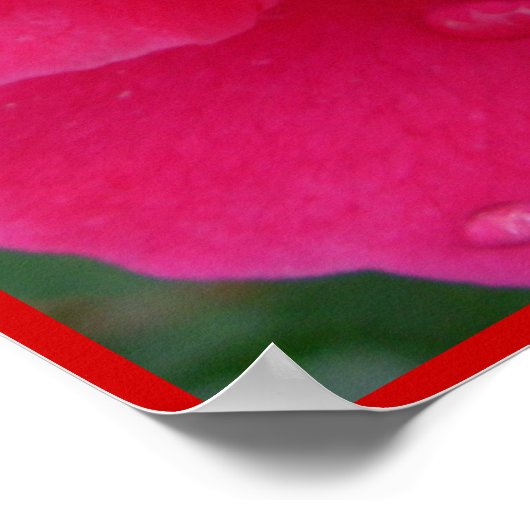 Rote Rose Poster Print Beautiful Blume Printing (Ecke)
