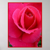 Rote Rose Poster Print Beautiful Blume Printing (Vorne)