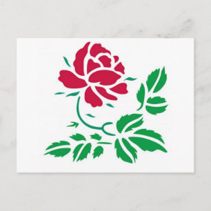 Rote Rose Postkarte