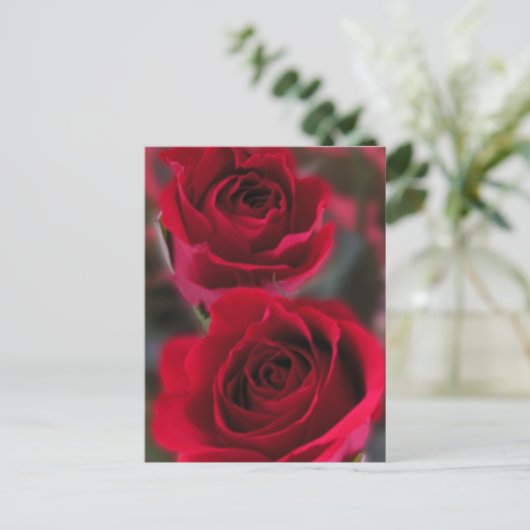 rote Rose Postkarte (Stehend Vorderseite)