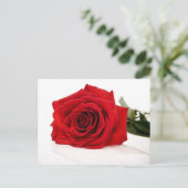 Rote Rose Postkarte (Stehend Vorderseite)