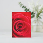 Rote Rose Postkarte (Stehend Vorderseite)