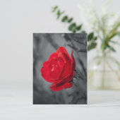 Rote Rose Postkarte (Stehend Vorderseite)