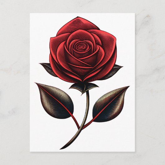 rote Rose Postkarte (Vorderseite)
