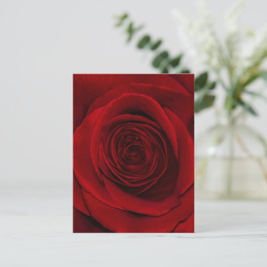 Rote Rose Postkarte (Stehend Vorderseite)