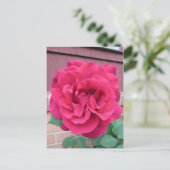 Rote Rose Postkarte (Stehend Vorderseite)