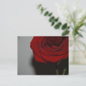 Rote Rose Postkarte (Stehend Vorderseite)