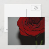 Rote Rose Postkarte (Vorne/Hinten)