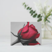Rote Rose Postkarte (Stehend Vorderseite)