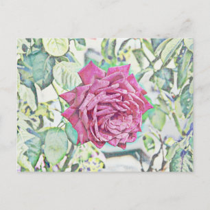 rote Rose Postkarte